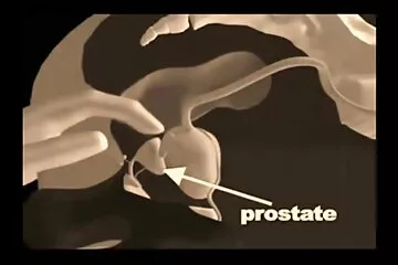 Người phụ nữ trưởng thành giúp cô gái phim xx thuyet minh trẻ giải trí BDSM.