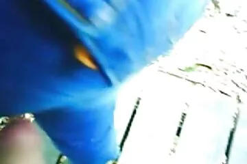 Cô gái bú ông già trong khi ông ta xem phim phim xx dam khiêu dâm.