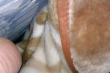 Chơi không phim xx vang anh đủ với em gái Ả Rập cạo lông mu