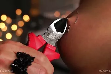 Em phimxx nx gái của anh chàng đeo kính cận không hài lòng với cô dâu đĩ thõa với vòng một căng tròn và mái tóc xù.